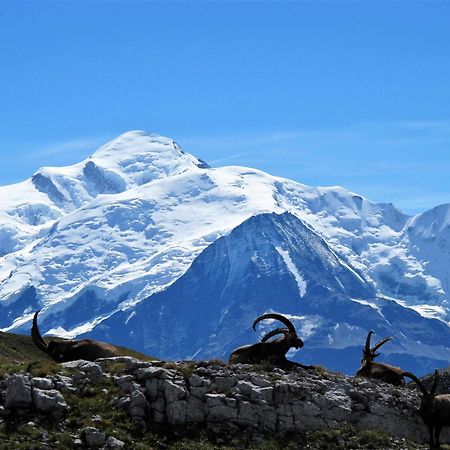 Vintage Chic -Central, Wifi, Mountain View Les Carroz-d'Araches Exterior foto